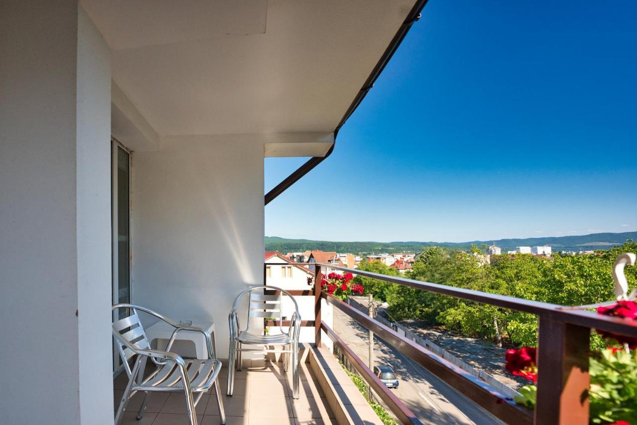 Vila Victoria Râmnicu Vâlcea Εξωτερικό φωτογραφία