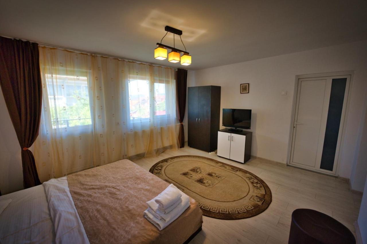 Vila Victoria Râmnicu Vâlcea Εξωτερικό φωτογραφία