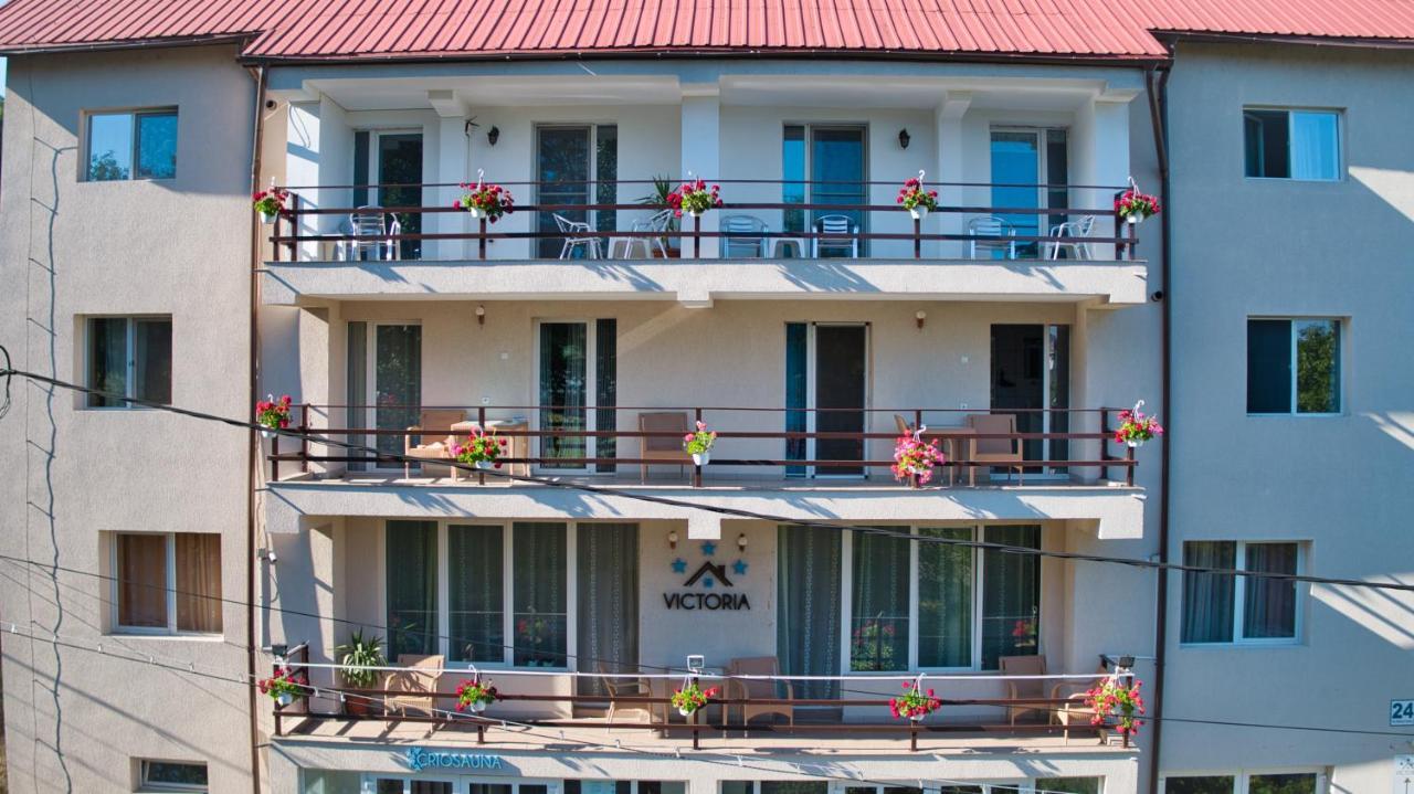 Vila Victoria Râmnicu Vâlcea Εξωτερικό φωτογραφία
