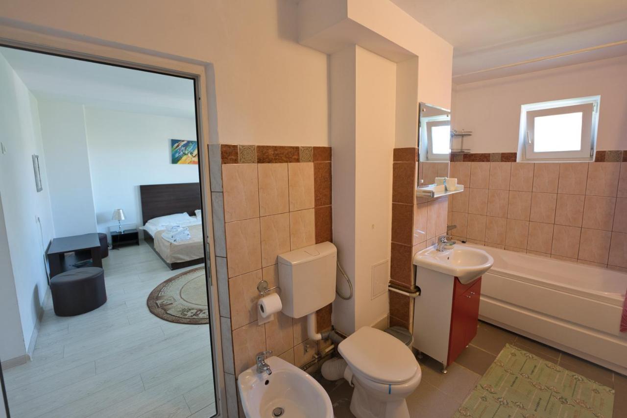 Vila Victoria Râmnicu Vâlcea Εξωτερικό φωτογραφία