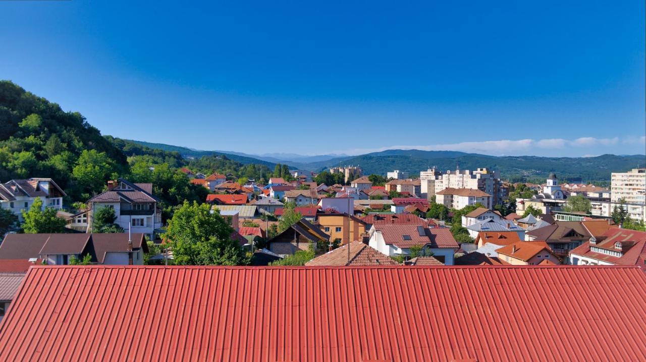 Vila Victoria Râmnicu Vâlcea Εξωτερικό φωτογραφία