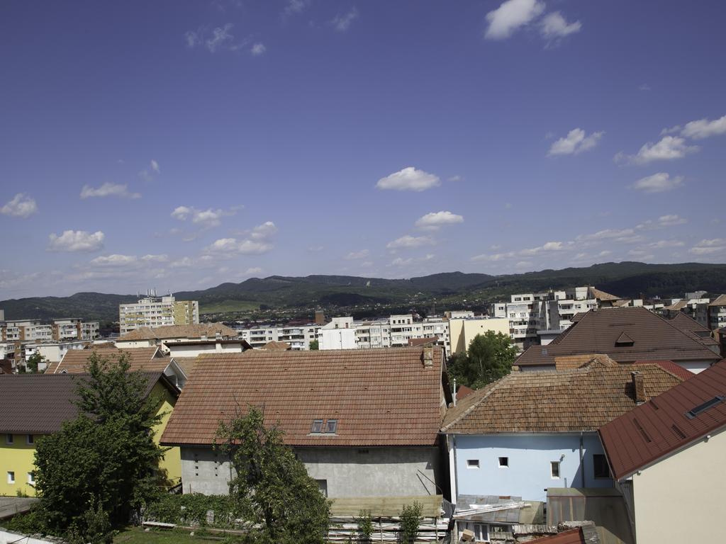 Vila Victoria Râmnicu Vâlcea Εξωτερικό φωτογραφία