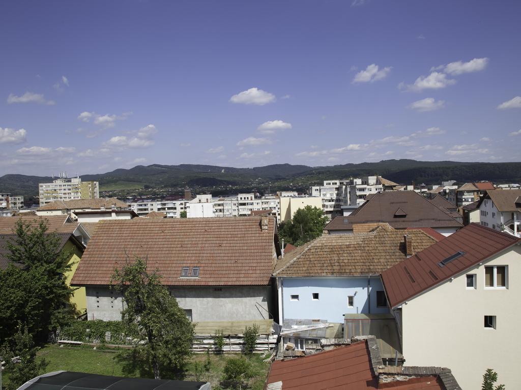 Vila Victoria Râmnicu Vâlcea Εξωτερικό φωτογραφία