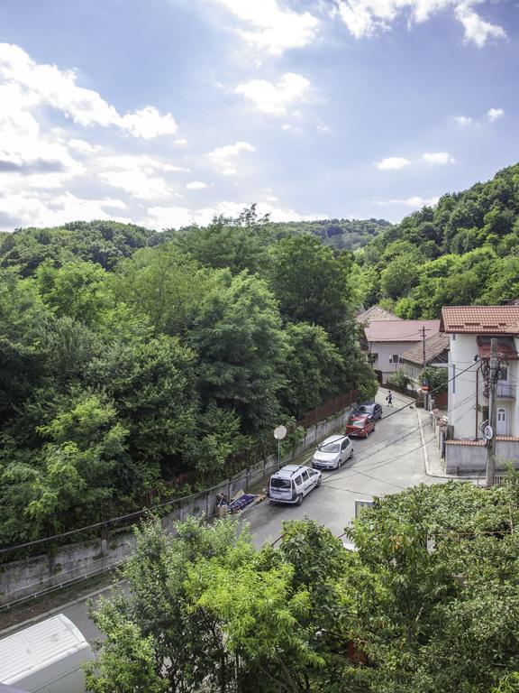 Vila Victoria Râmnicu Vâlcea Εξωτερικό φωτογραφία