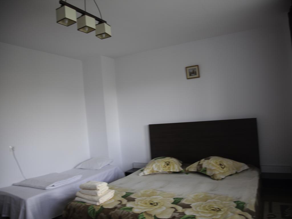 Vila Victoria Râmnicu Vâlcea Εξωτερικό φωτογραφία